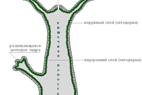 Кракен маркетплейс скачать